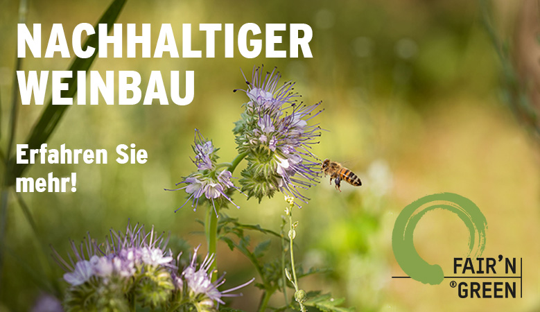 Nachhaltiger Weinbau_Startseite.jpg